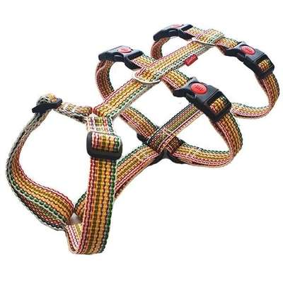 Hundeshops-Sientas - Sicherheit für Hund & Halter-Bild