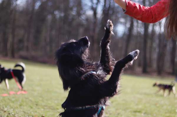 Lieblingsbild :D-Beitrag-Bild