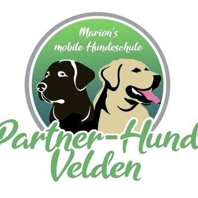 Hundeschulen-Marions mobile Hundeschule-Bild