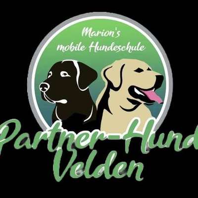 Hundeschulen-Marions mobile Hundeschule-Bild