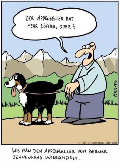 Hunde Memes-Beitrag-Bild