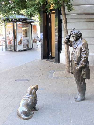 Wie heißt dein Hund?-Beitrag-Bild