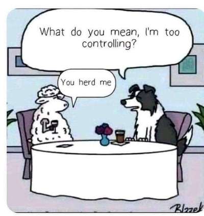 Hunde Memes-Beitrag-Bild