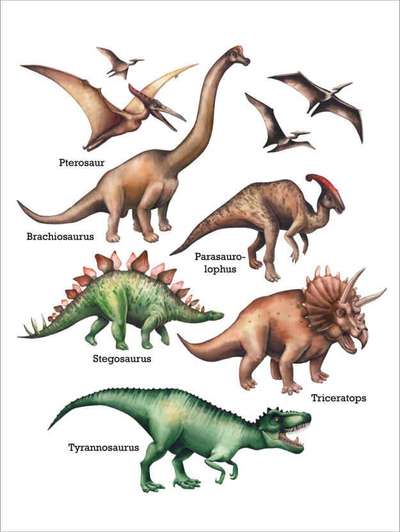 Wie heißt dein Hund?-Beitrag-Bild