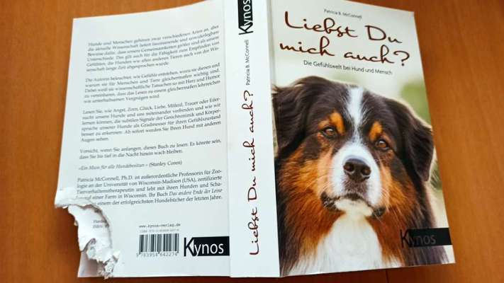 Zeig mir, dass du mit einem hund zusammenlebst....-Beitrag-Bild