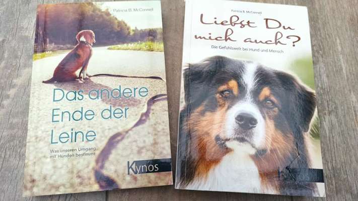 Was habt ihr 2021 so gelesen?-Beitrag-Bild