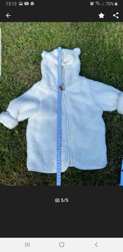 Französische Bulldoggen-Beitrag-Bild