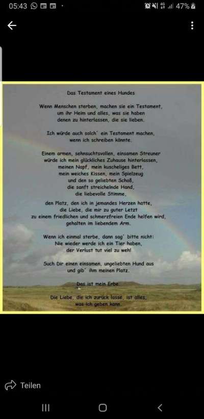 Unsere Fellnasen im Regenbogenland-Beitrag-Bild