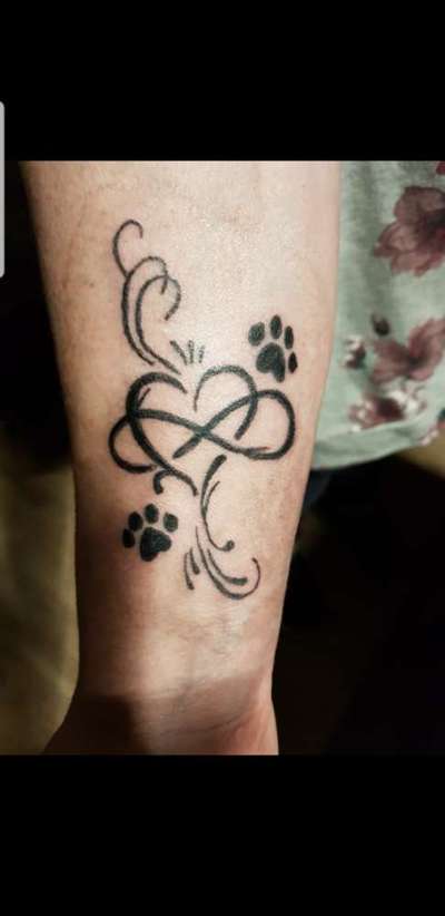 Französische Bulldoggen-Beitrag-Bild