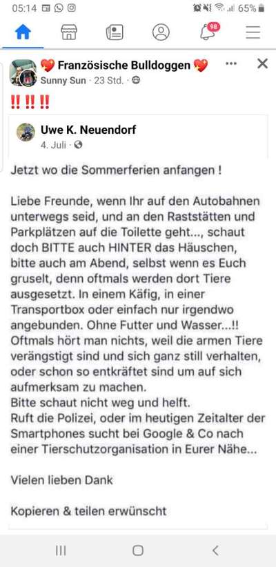 Französische Bulldoggen-Beitrag-Bild