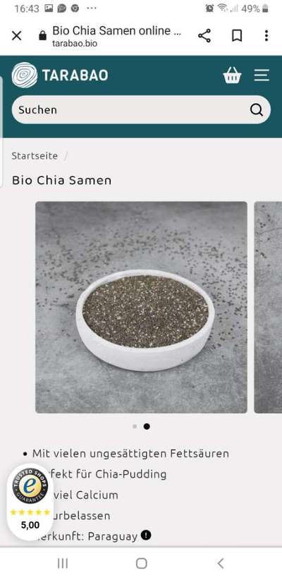 Wie heißt dein Hund?-Beitrag-Bild