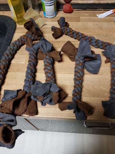 Französische Bulldoggen-Beitrag-Bild