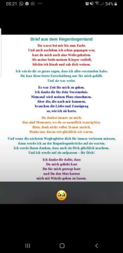 Unsere Fellnasen im Regenbogenland-Beitrag-Bild