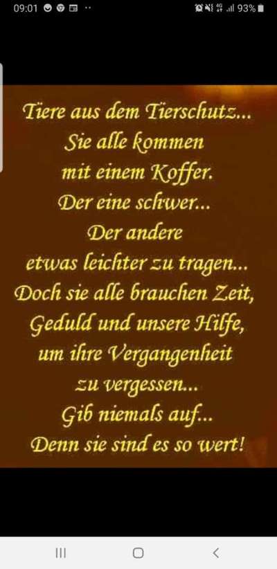 TierschutzhundeStammtisch🐕-Beitrag-Bild