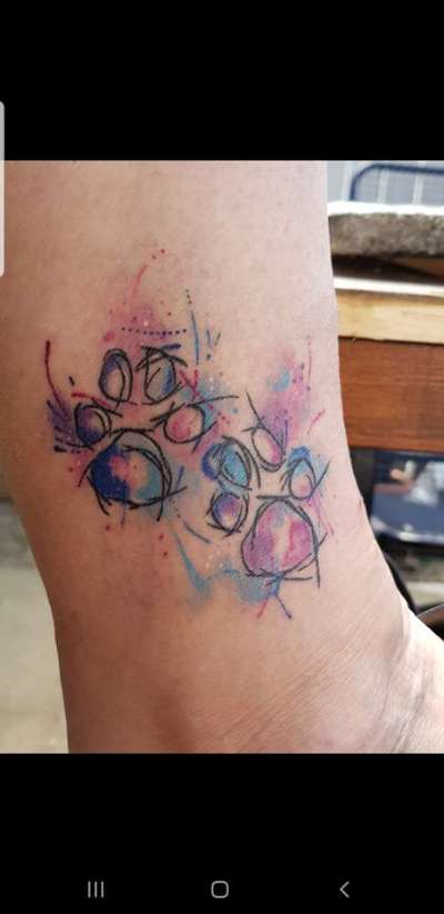 Unsere Fellnasen im Regenbogenland-Beitrag-Bild