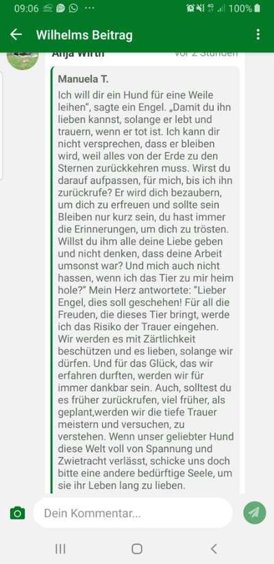 Unsere Fellnasen im Regenbogenland-Beitrag-Bild