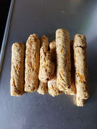 Französische Bulldoggen-Beitrag-Bild