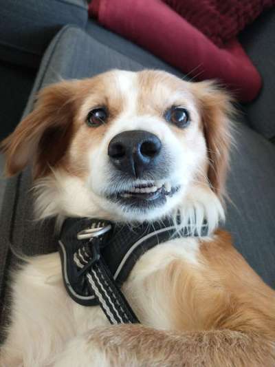 Das beste grinsefoto-Beitrag-Bild