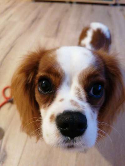 Fotochallange Nr. 57     PORTRÄT.   Beendet!!!!!!!!-Beitrag-Bild