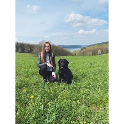 Hundetreffen-Labrador Treffen in Oberhausen (Samstag Vormittag)-Profilbild