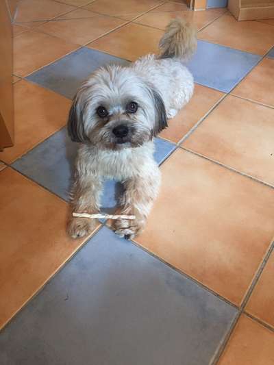 Sie werden so schnell erwachsen ...-Beitrag-Bild