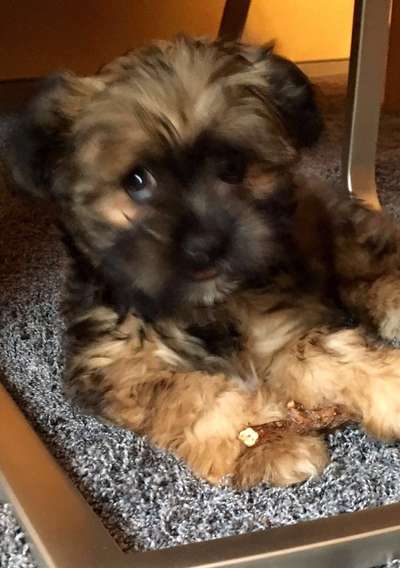 Sie werden so schnell erwachsen ...-Beitrag-Bild