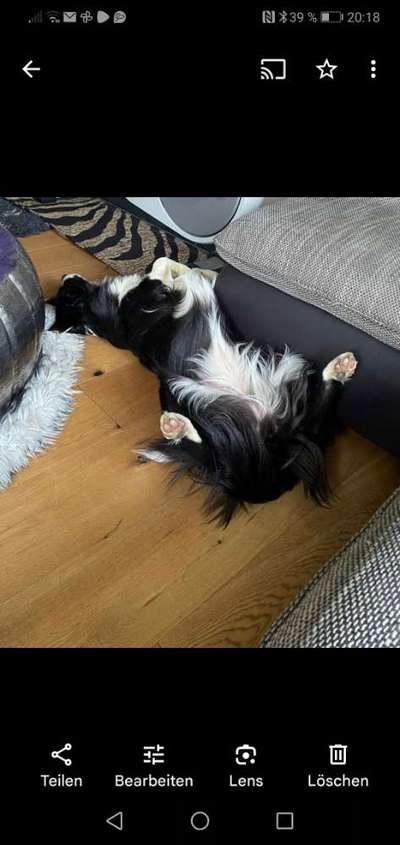 Foto Challenge - Zeigt her eure Bäuche-Beitrag-Bild