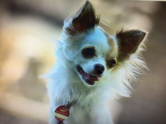 Fotochallange Nr. 57     PORTRÄT.   Beendet!!!!!!!!-Beitrag-Bild