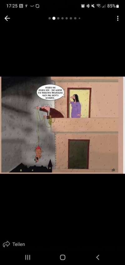 Hunde Memes-Beitrag-Bild