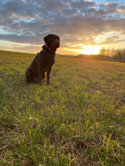 Theos  Fotochallenge Nummer 2-Beitrag-Bild