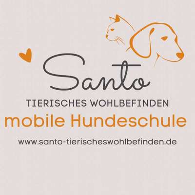 Hundeschulen-SANTO tierisches Wohlbefinden -mobile Hundeschule-Bild
