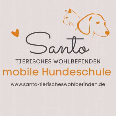 Hundeschulen-Hundeschule SANTO-Bild