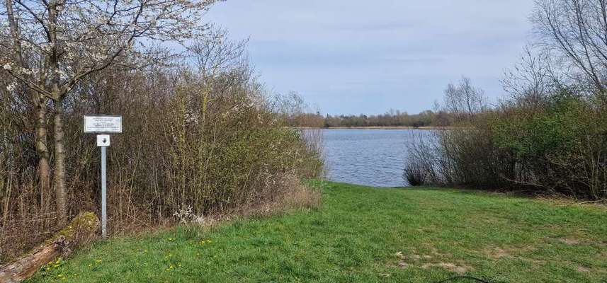 Hundeauslaufgebiet-Baltussee-Bild