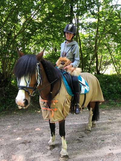 CHALLENGE NR. 18 - ON TOUR-Beitrag-Bild