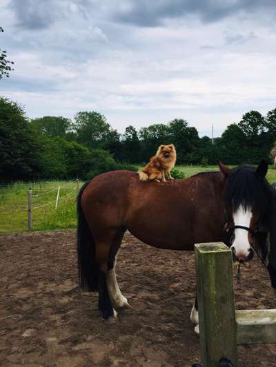 CHALLENGE NR. 18 - ON TOUR-Beitrag-Bild