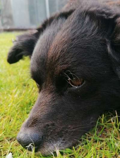 Blick fürs Detail!-Beitrag-Bild