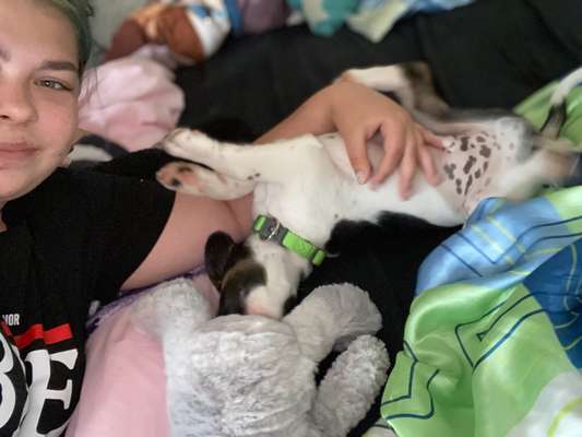 Die Dogorama Wochen Challenge-Beitrag-Bild