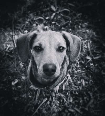 Foto-Challenge 76: Foto in Schwarz-Weiss-Beitrag-Bild