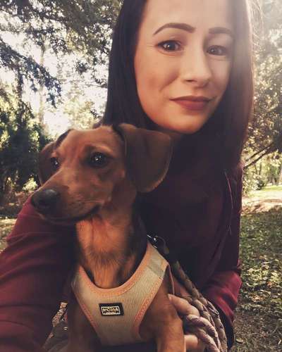 wo sind die Dackelfreunde-Beitrag-Bild