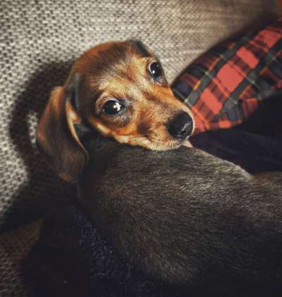 Erstes Bild-Beitrag-Bild