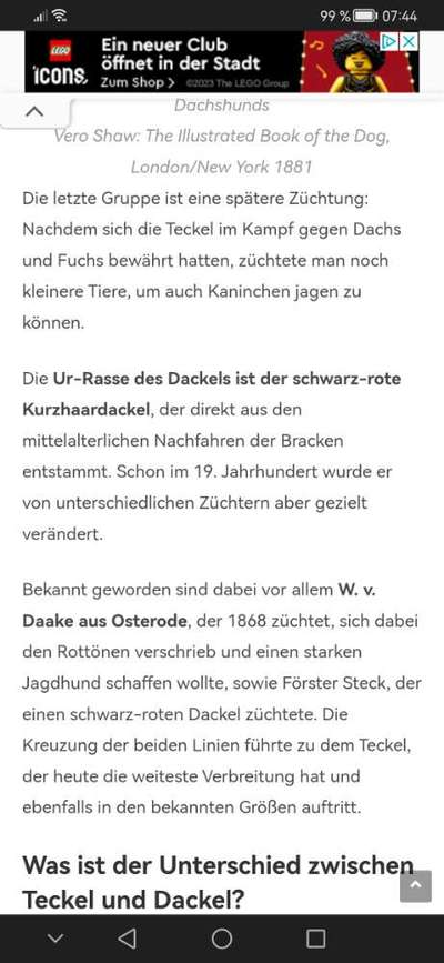 Die dunkle Seite einen Hund zu haben-Beitrag-Bild