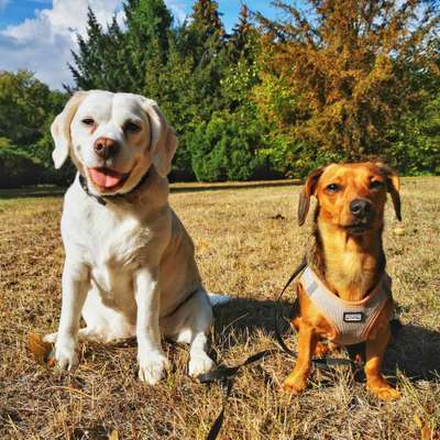 Ist das ein...?-Beitrag-Bild