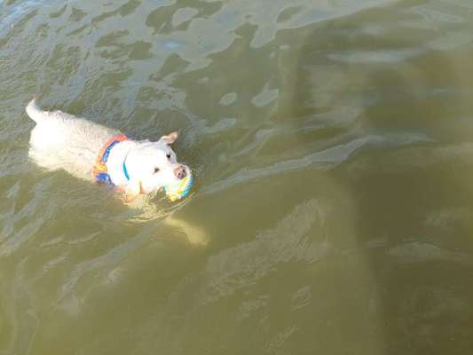 Fotochallenge 37- Sommerfeeling-Beitrag-Bild