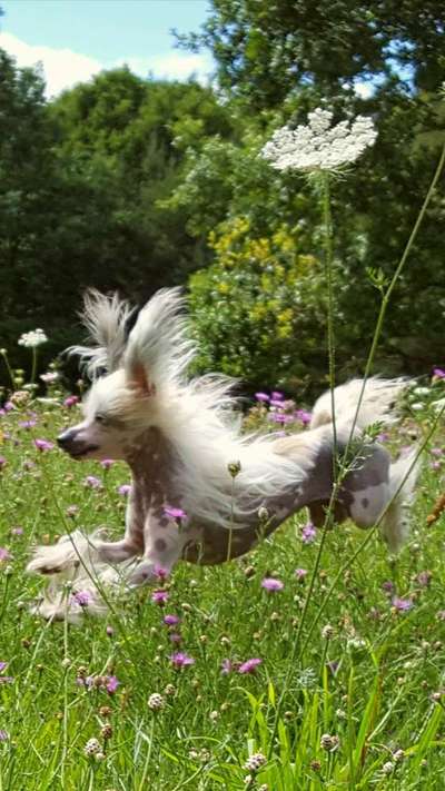 Lieblingsbild-Beitrag-Bild