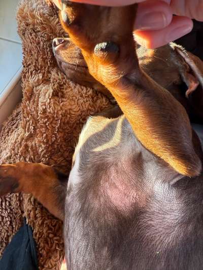 Ausschlag? Allergie?-Beitrag-Bild