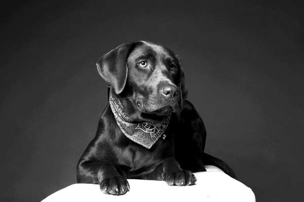 Zeigt eure Portraits-Beitrag-Bild