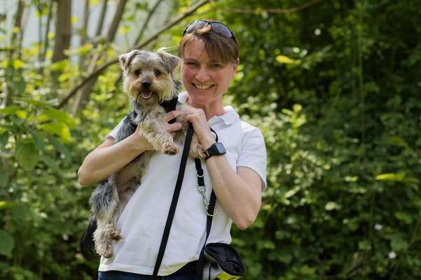 Hundeschulen-WAU Hundeschule Bad Bellingen-Bild