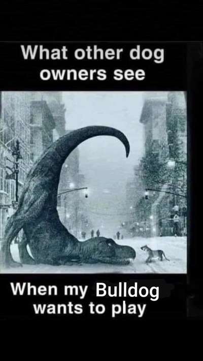 Vorurteile-Beitrag-Bild