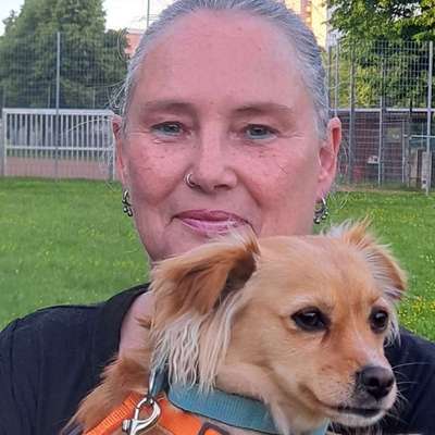 Hundetreffen-Spiel und Walk