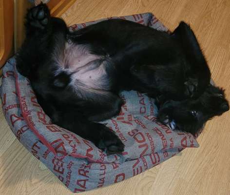 Fotochallenge Nr.65-Beitrag-Bild